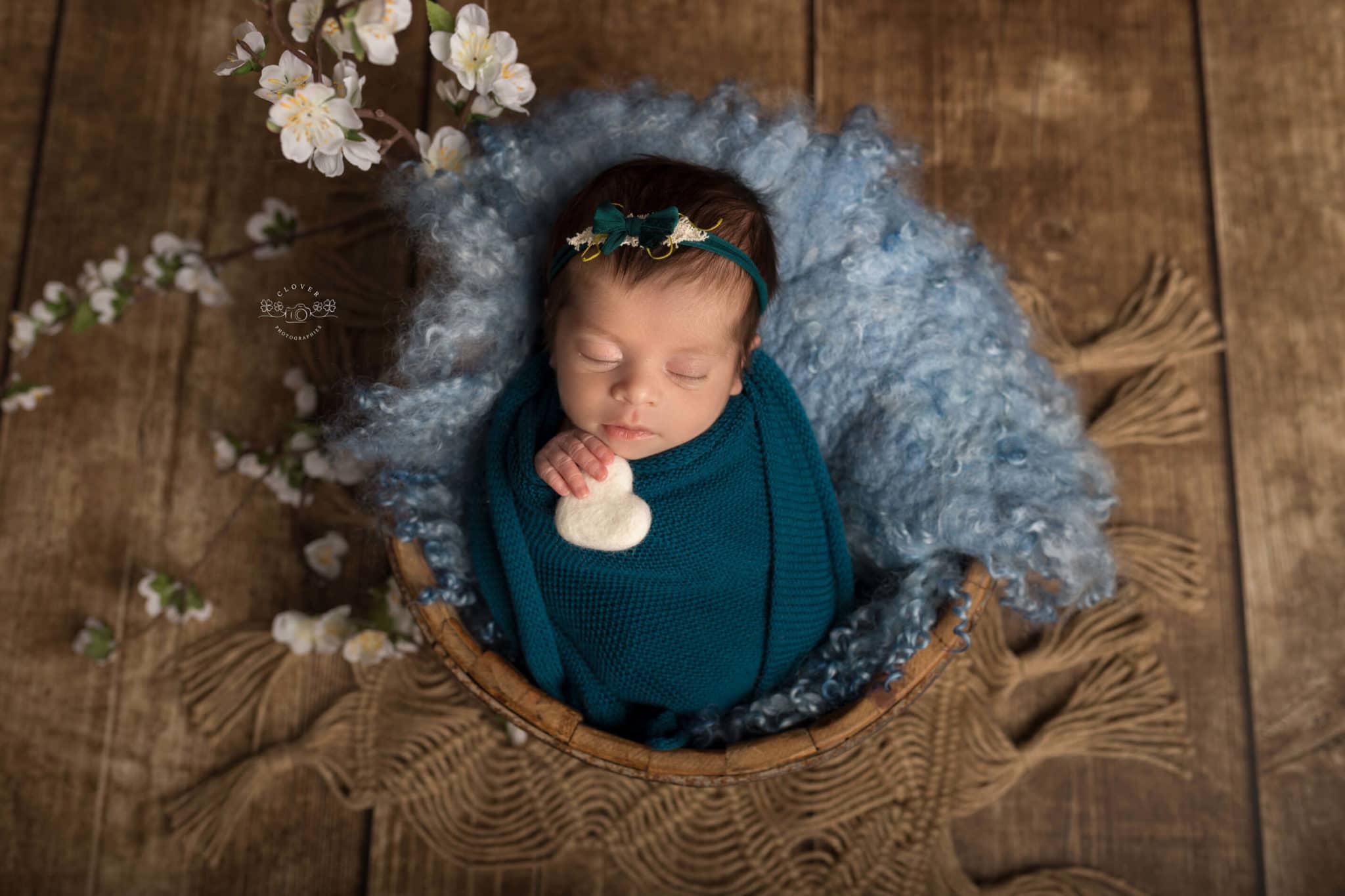 Accueil Photographe Grossesse Naissance Clover Photographies